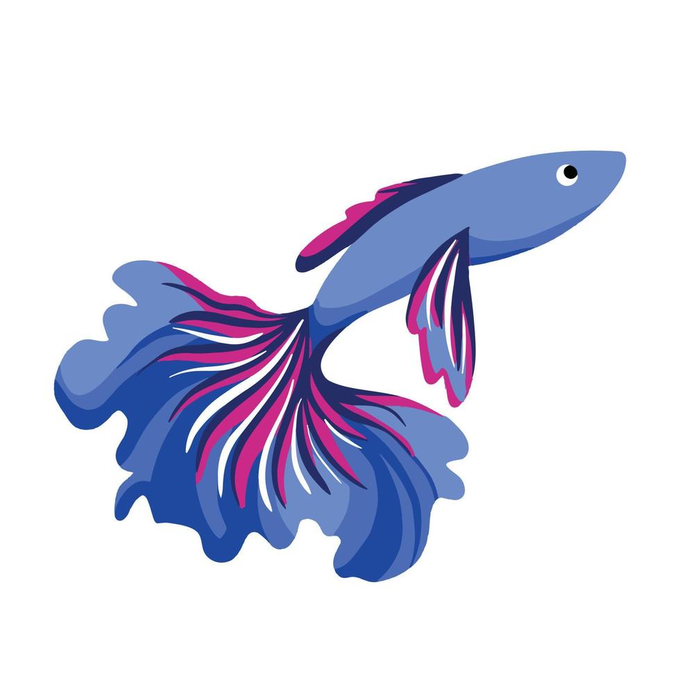 Siamese fighting fish vector illustration isolated on white background. Blue ikan cupang water aquatic animal drawing with cartoon flat art style and colors.