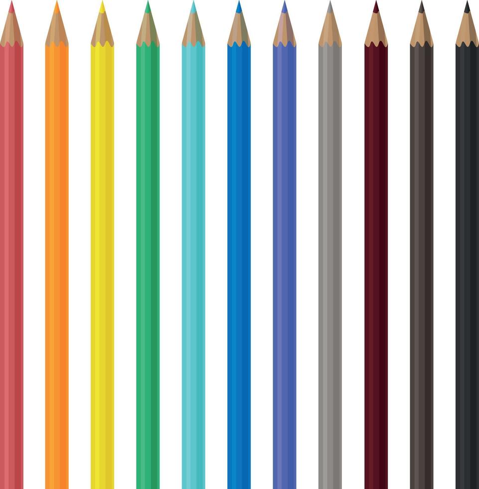 A large set of wooden colored pencils in different colors. School pencils for drawing. A set for creativity. Office supplies. Vector illustration on a white background