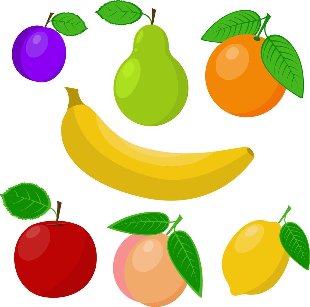fruit set vector illustration isolated on white background