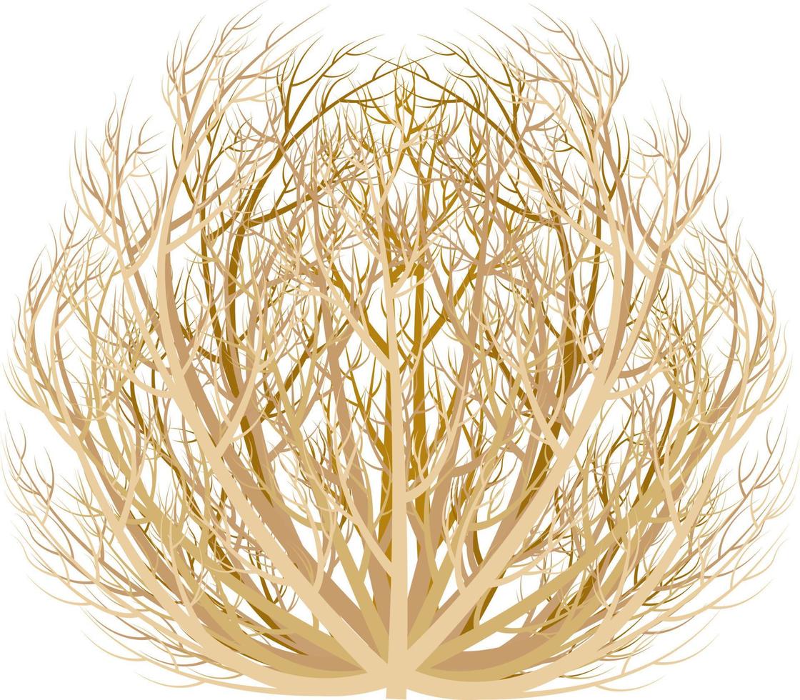 imagen realista de la ilustración de vector de planta seca de tumbleweed aislada sobre fondo blanco.