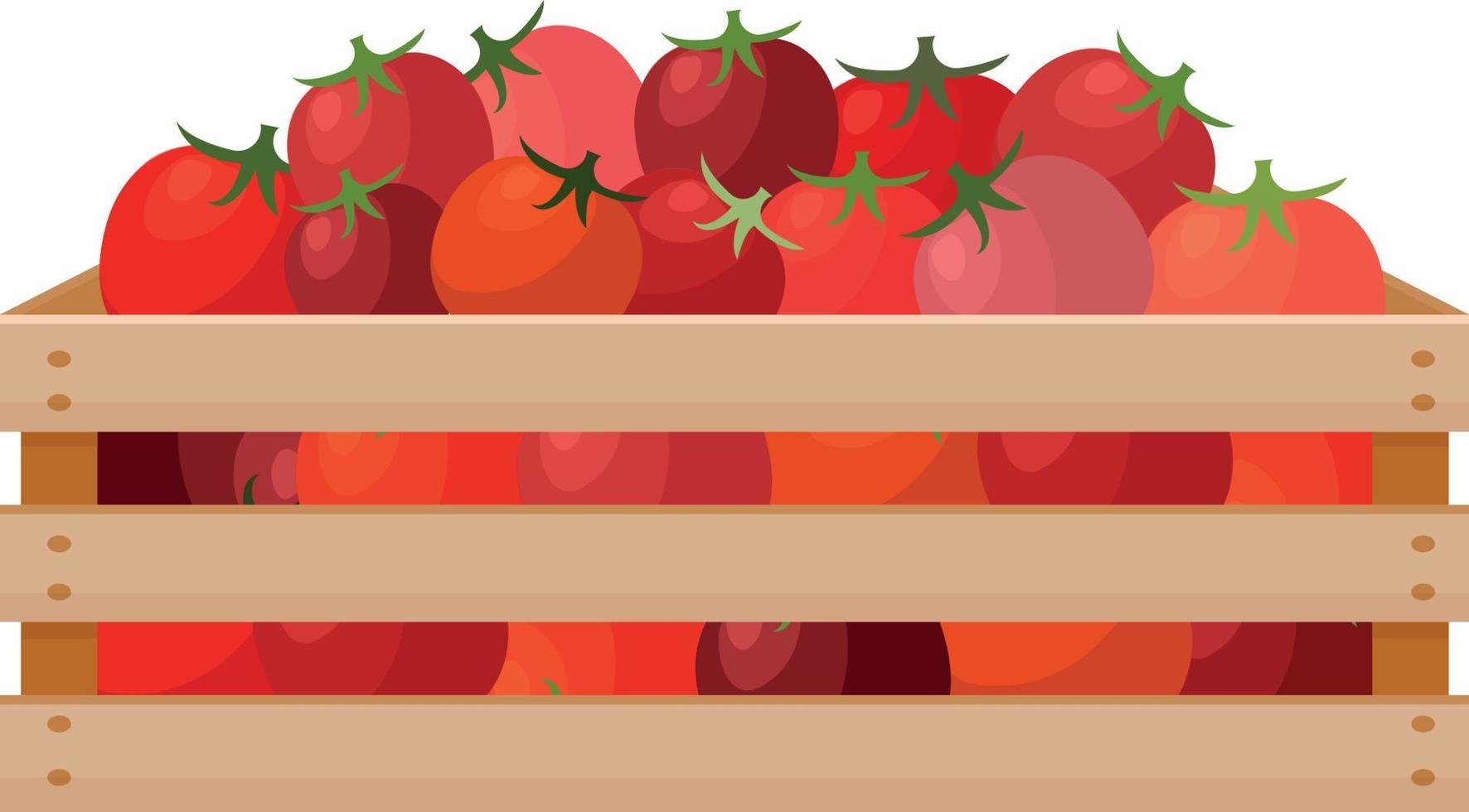 una brillante ilustración otoñal que representa una caja de madera con tomates rojos maduros. la cosecha cosechada de tomates frescos en una caja de madera. verduras en una caja. ilustración vectorial sobre un fondo blanco vector