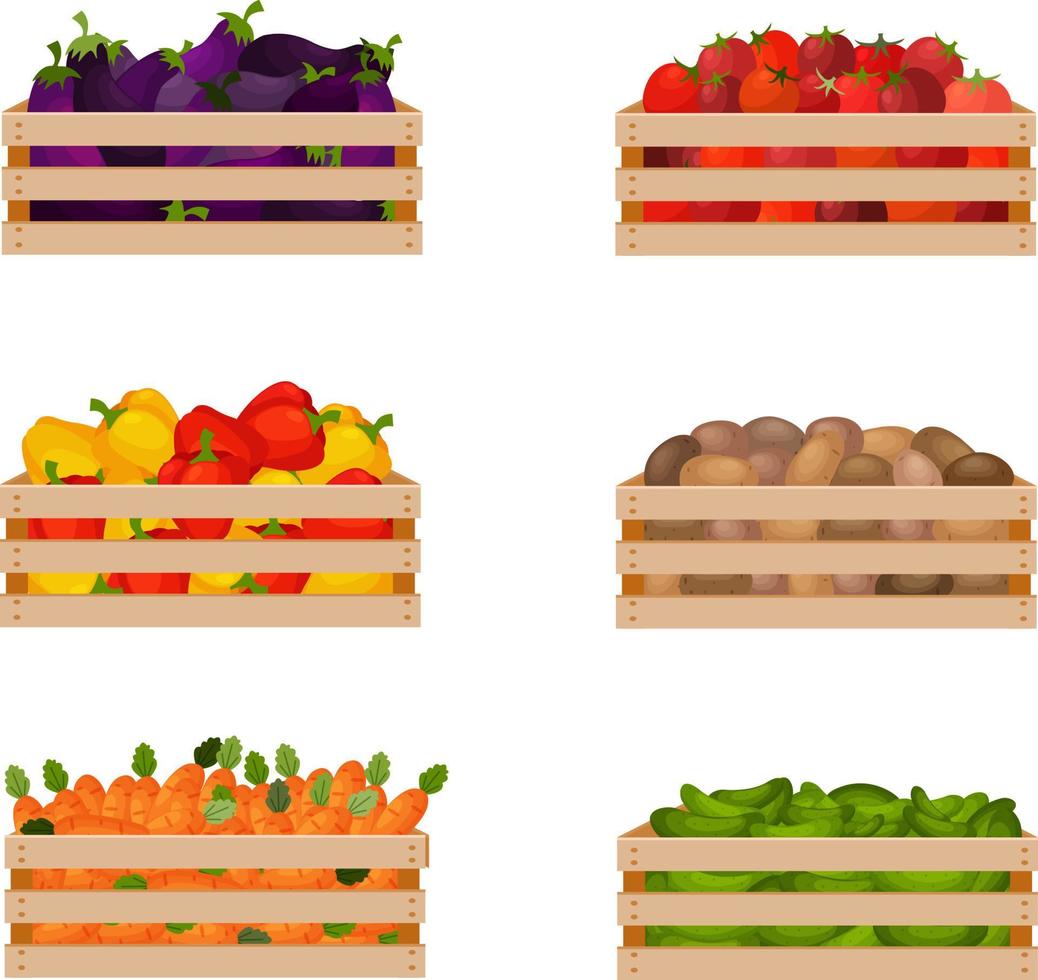 un vistoso juego de verano compuesto por cajas de madera con verduras maduras, como berenjenas, tomates, pimientos, así como patatas, zanahorias y pepinos. ilustración vectorial aislada. vector