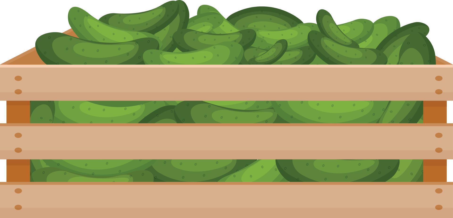 Bright autumn illustration with the image of a wooden box with green ripe cucumbers A harvest of fresh cucumbers in a wooden box. Vegetables in a box. Vector illustration on a white background