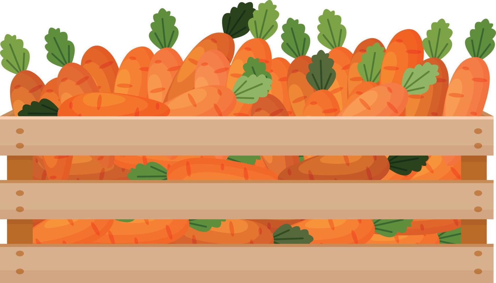 una brillante ilustración otoñal con la imagen de una caja de madera con zanahorias. la cosecha cosechada de zanahorias frescas en una caja de madera. las verduras están en el cajón. ilustración vectorial sobre un fondo blanco vector