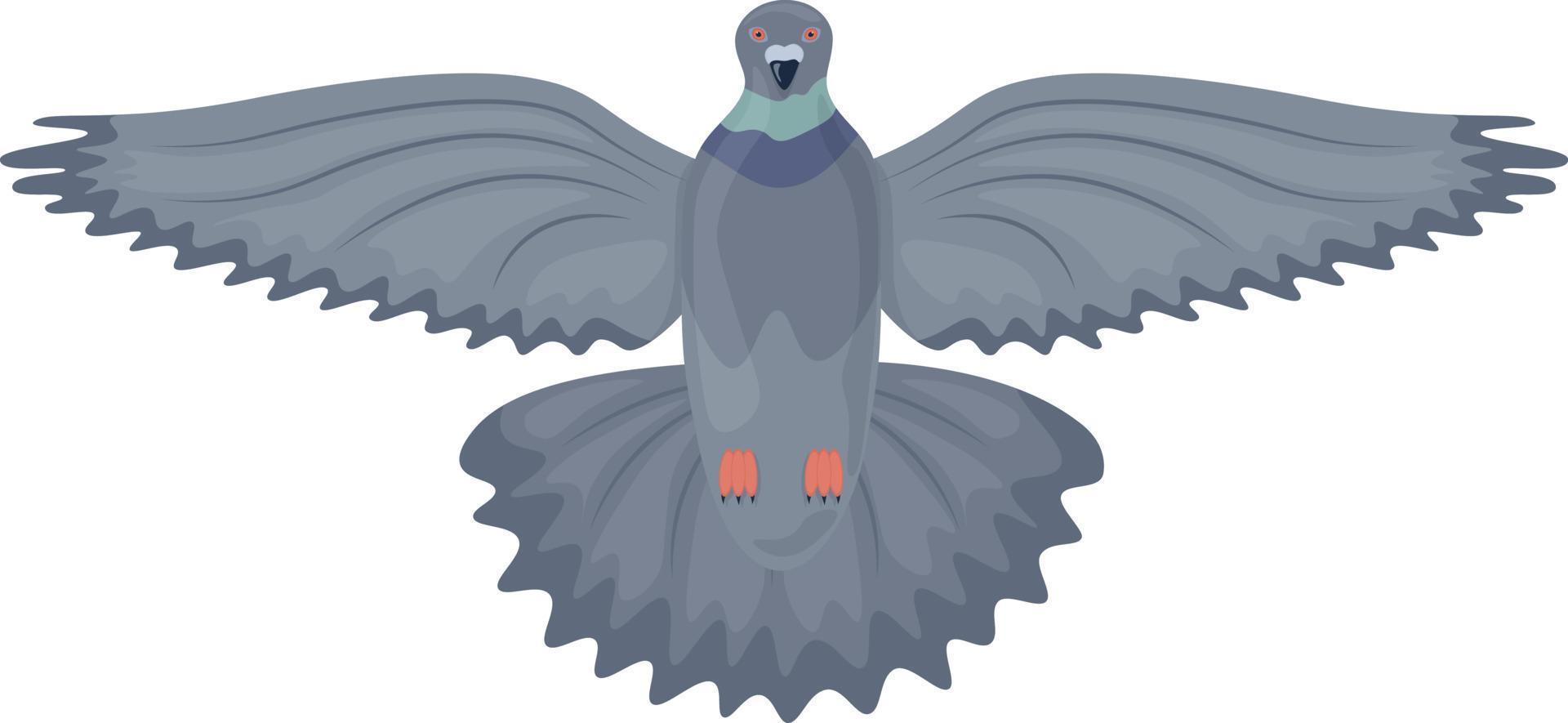 paloma. imagen de una vista inferior de una paloma voladora. pájaro de la ciudad. la paloma batió sus alas. ilustración vectorial aislada en un fondo blanco vector