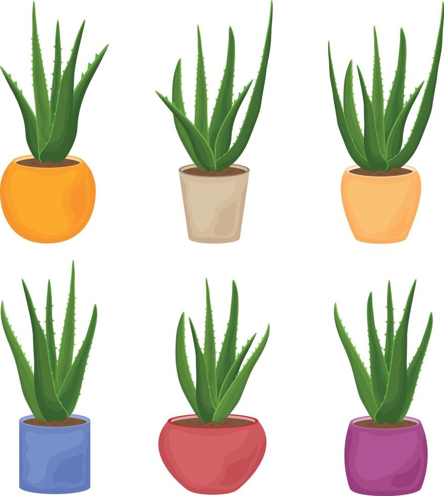 Aloe. A collection of images of the green aloe vera plant in pots of various shapes and colors. Medicinal plant as a skin care product. Vector illustration isolated on a white background