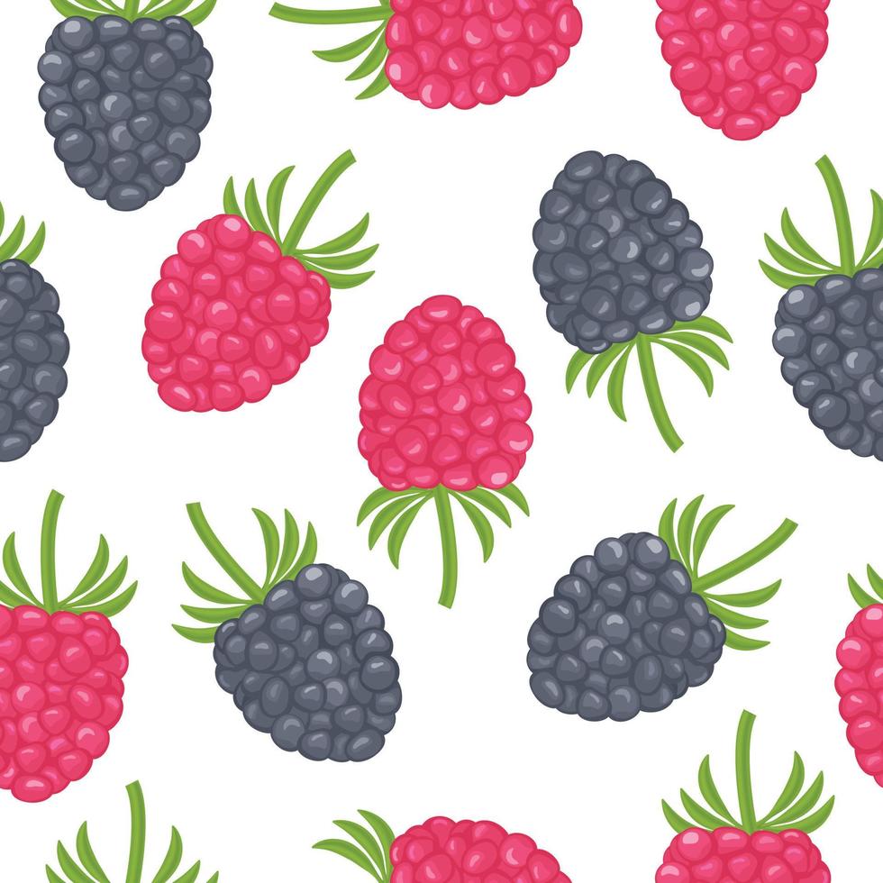 A bright autumn seamless pattern consisting of juicy ripe strawberries, raspberries, blackberries of red and black color. Berry pattern vector illustration