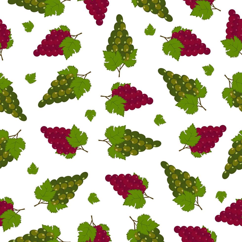 Grape juicy summer seamless pattern with a picture of ripe red green grapes with green leaves. Summer print. Vector illustration on white background.