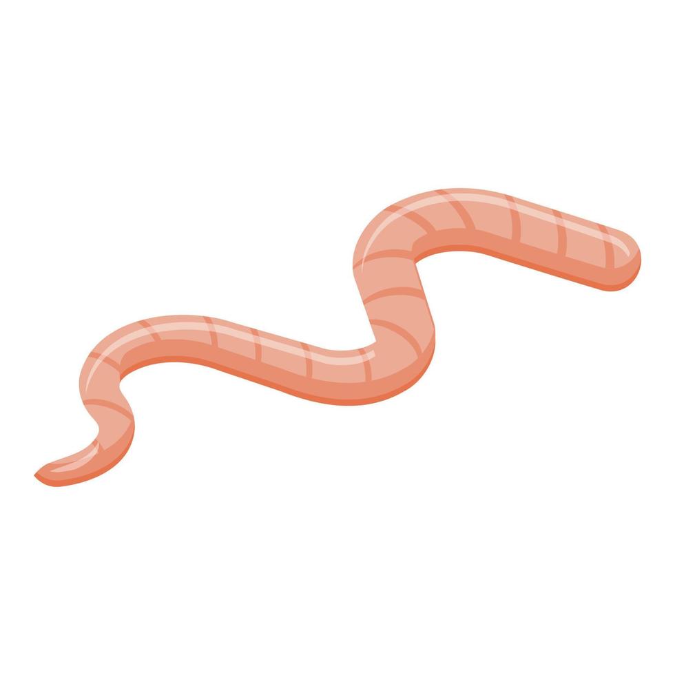 Gound worm icon isometric vector. Garden worm vector
