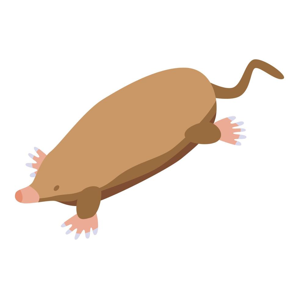 Mole animal icon isometric vector. Cute ground vector