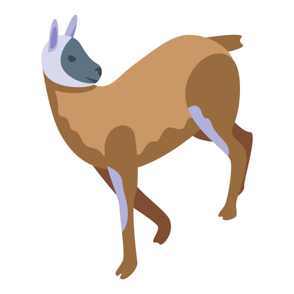 Alpaca lama icon isometric vector. Cute animal vector