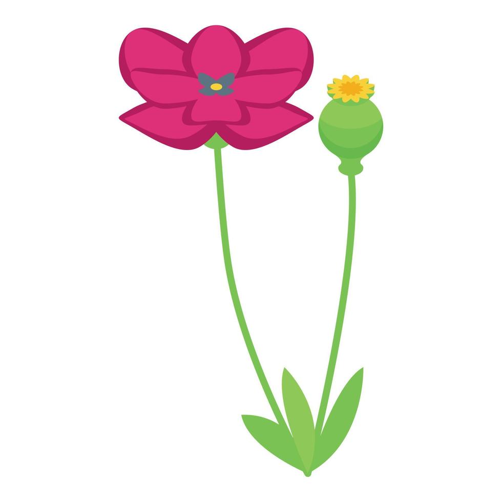 icono de flor de amapola vector isométrico. hito de viaje