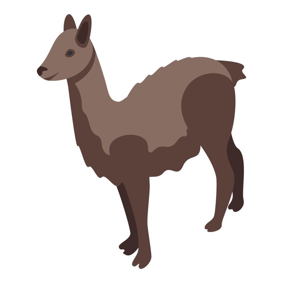Brown lama icon isometric vector. Cool baby vector
