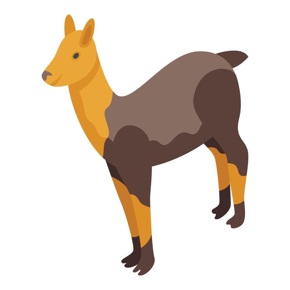 Brown lama icon isometric vector. Cute animal vector