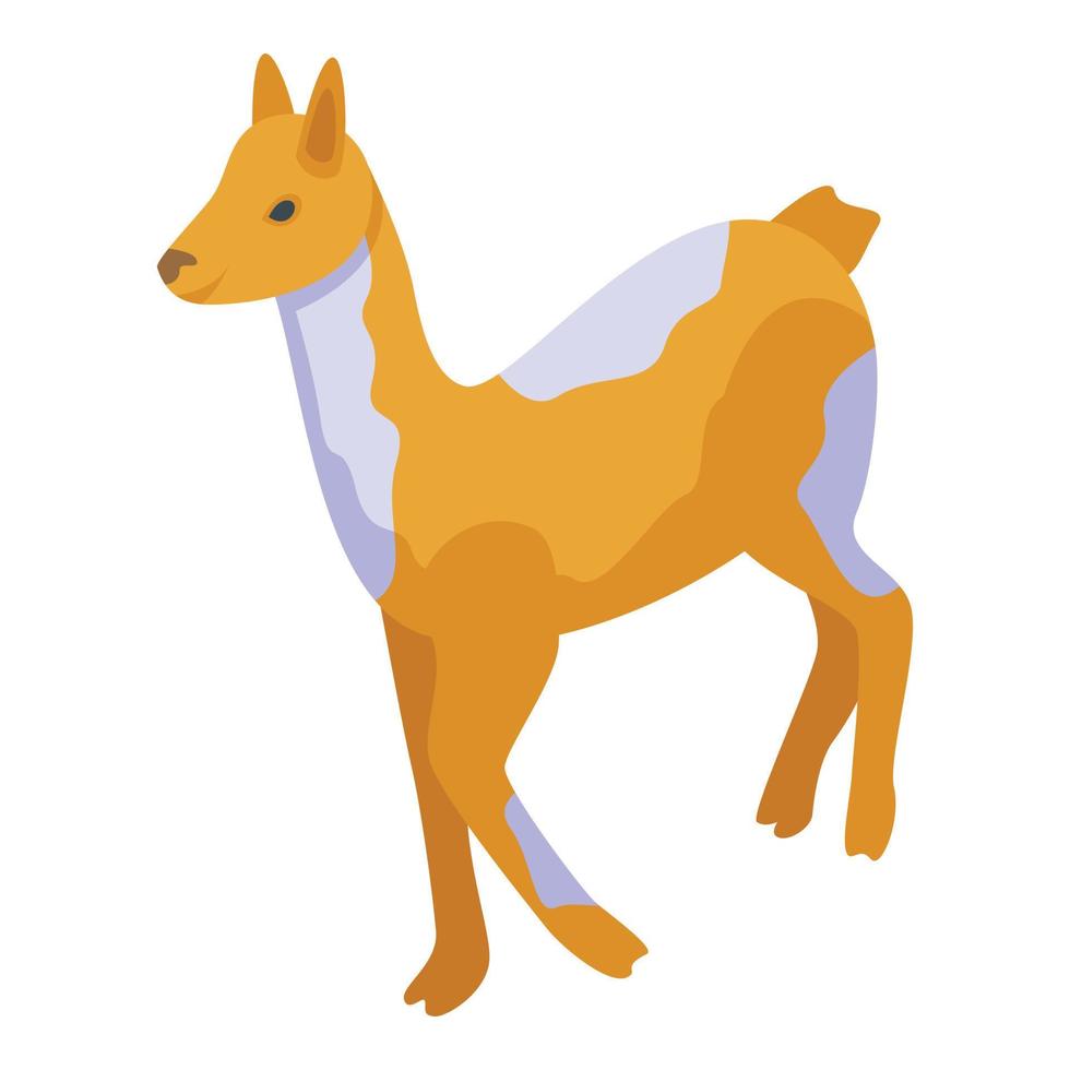 Wild lama icon isometric vector. Cool baby vector