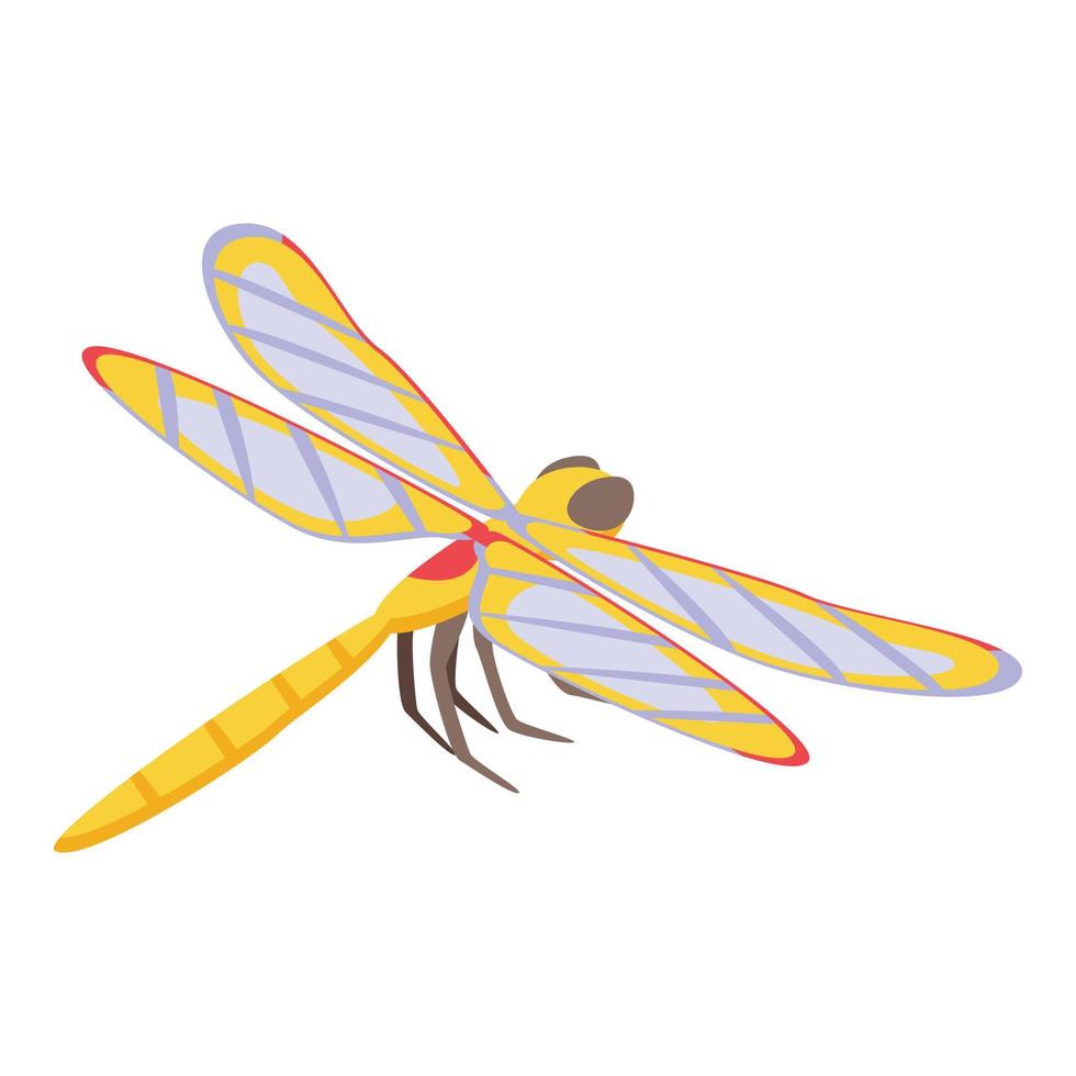 Summer dragonfly icon isometric vector. Wing insect vector