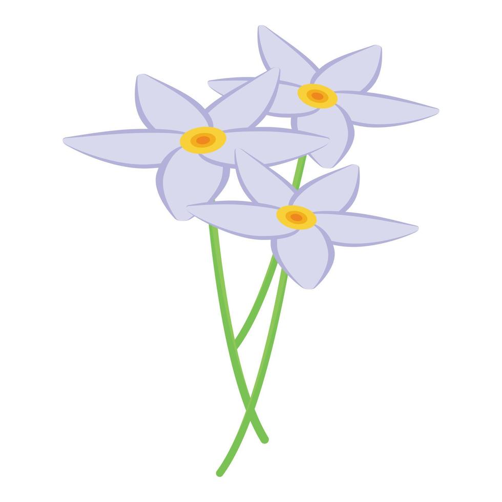 Nicaragua flower icon isometric vector. Travel day vector