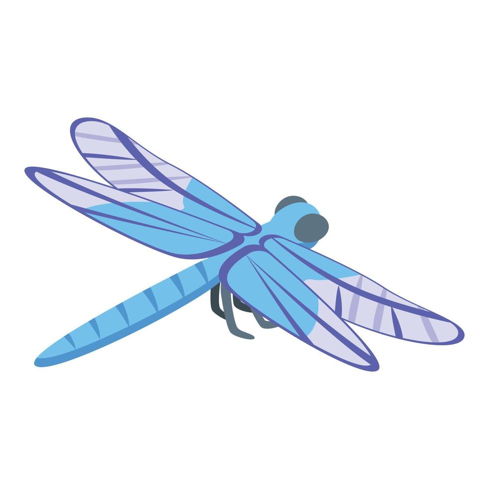 Cute dragonfly icon isometric vector. Insect wing vector