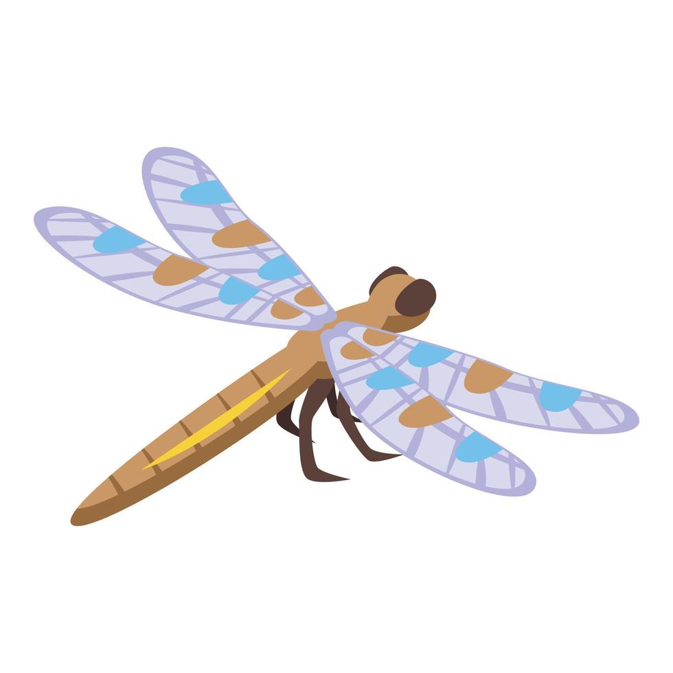 Dotted dragonfly icon isometric vector. Wing insect vector