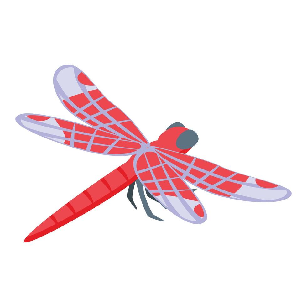 naturaleza insecto icono vector isométrico. libélula ala