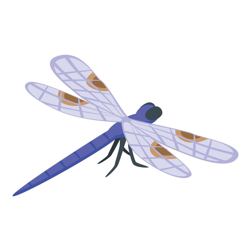 Macro dragonfly icon isometric vector. Wing insect vector