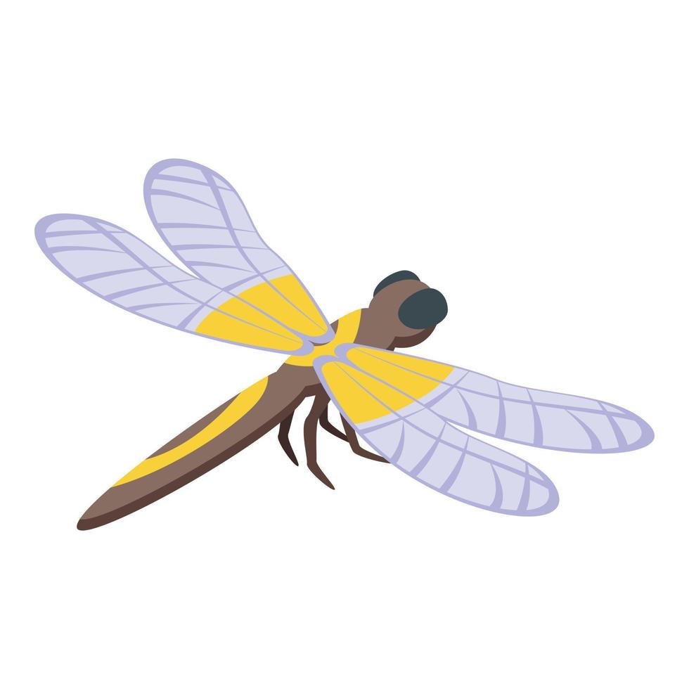 Fashion dragonfly icon isometric vector. Wing insect 15115752 Vector Art at  Vecteezy
