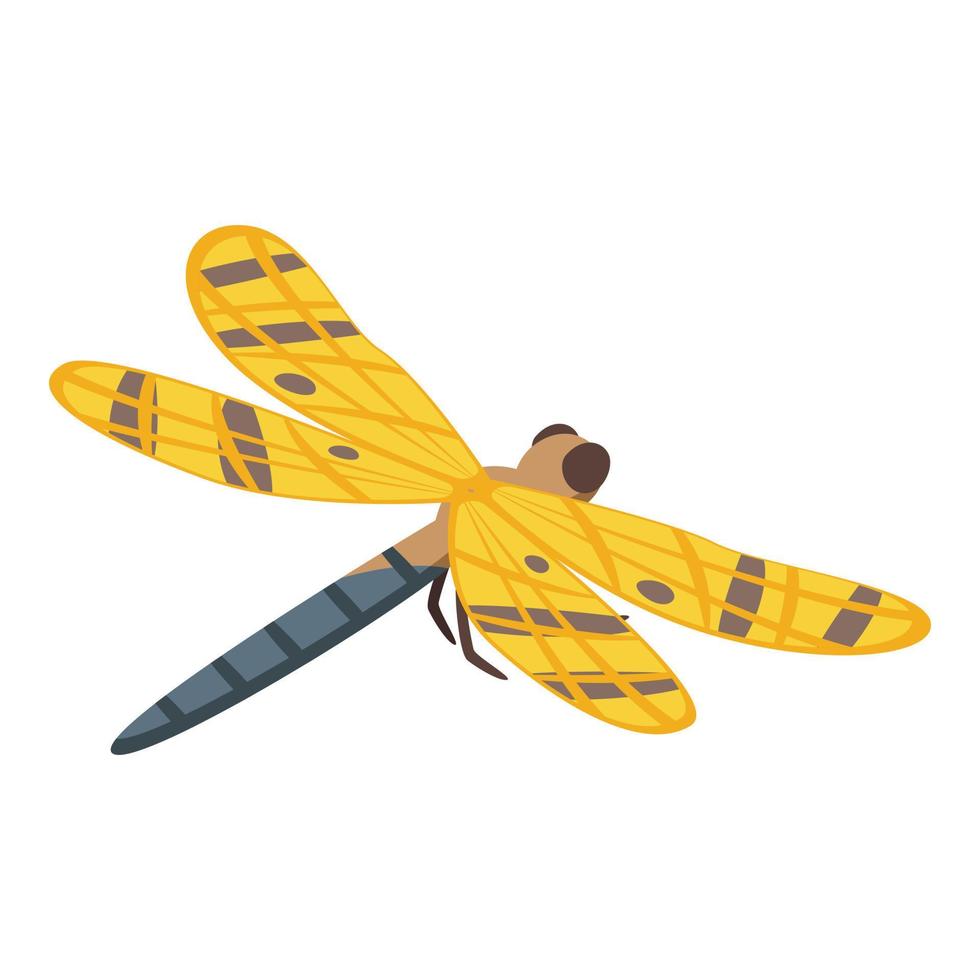 Gold dragonfly icon isometric vector. Wing insect vector