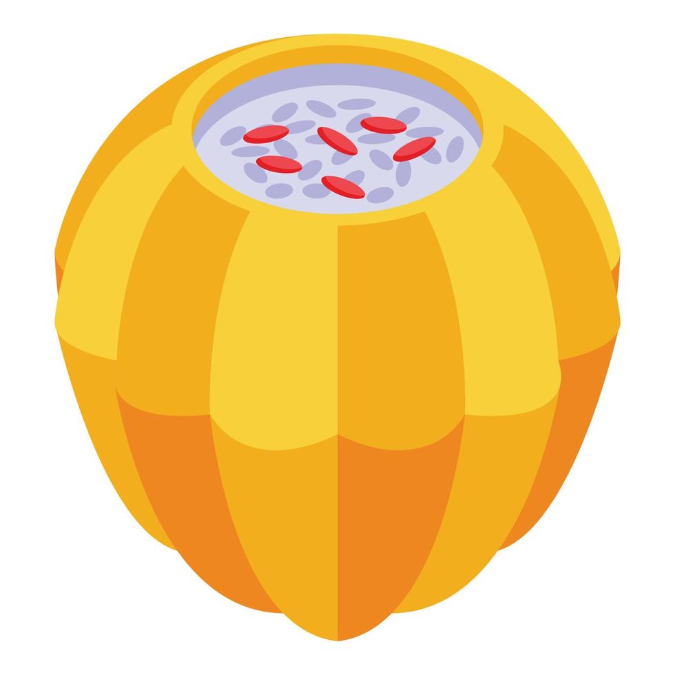 icono de sopa de calabaza de arroz vector isométrico. armenia libertad