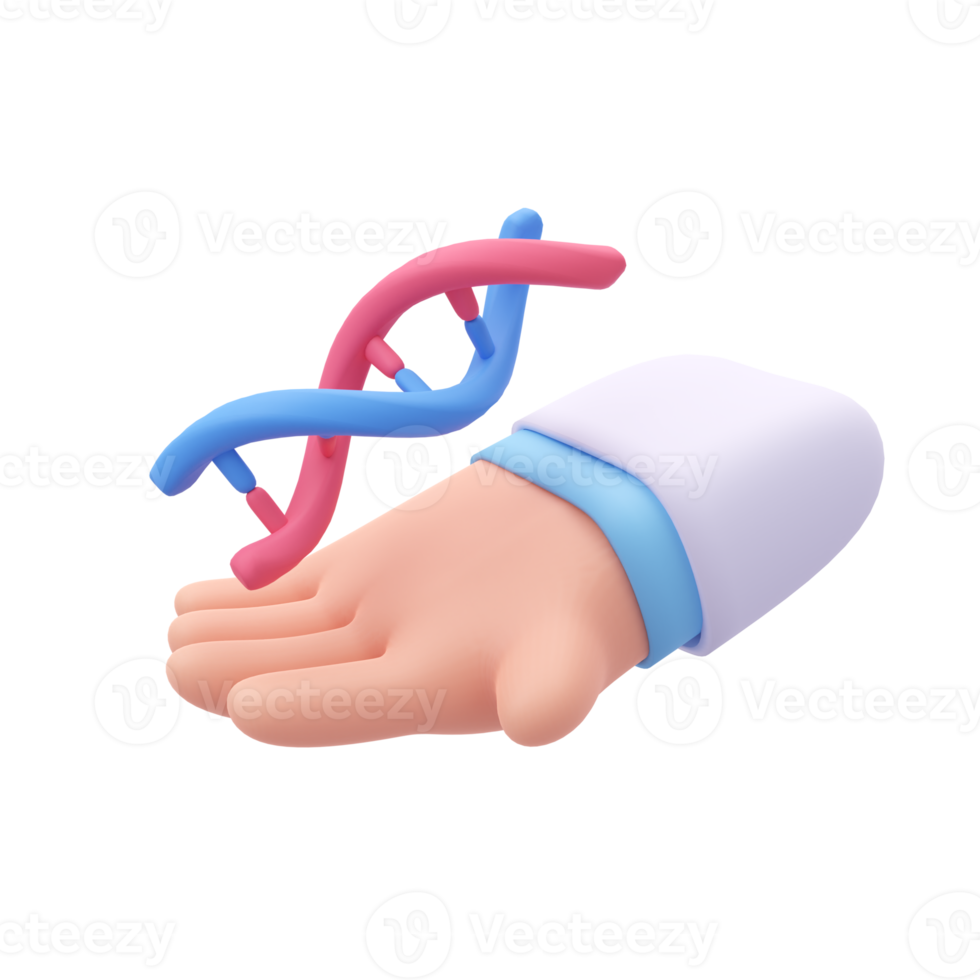 Facharzt kümmert sich um die Organe im Körper. 3D medizinische Illustration. png