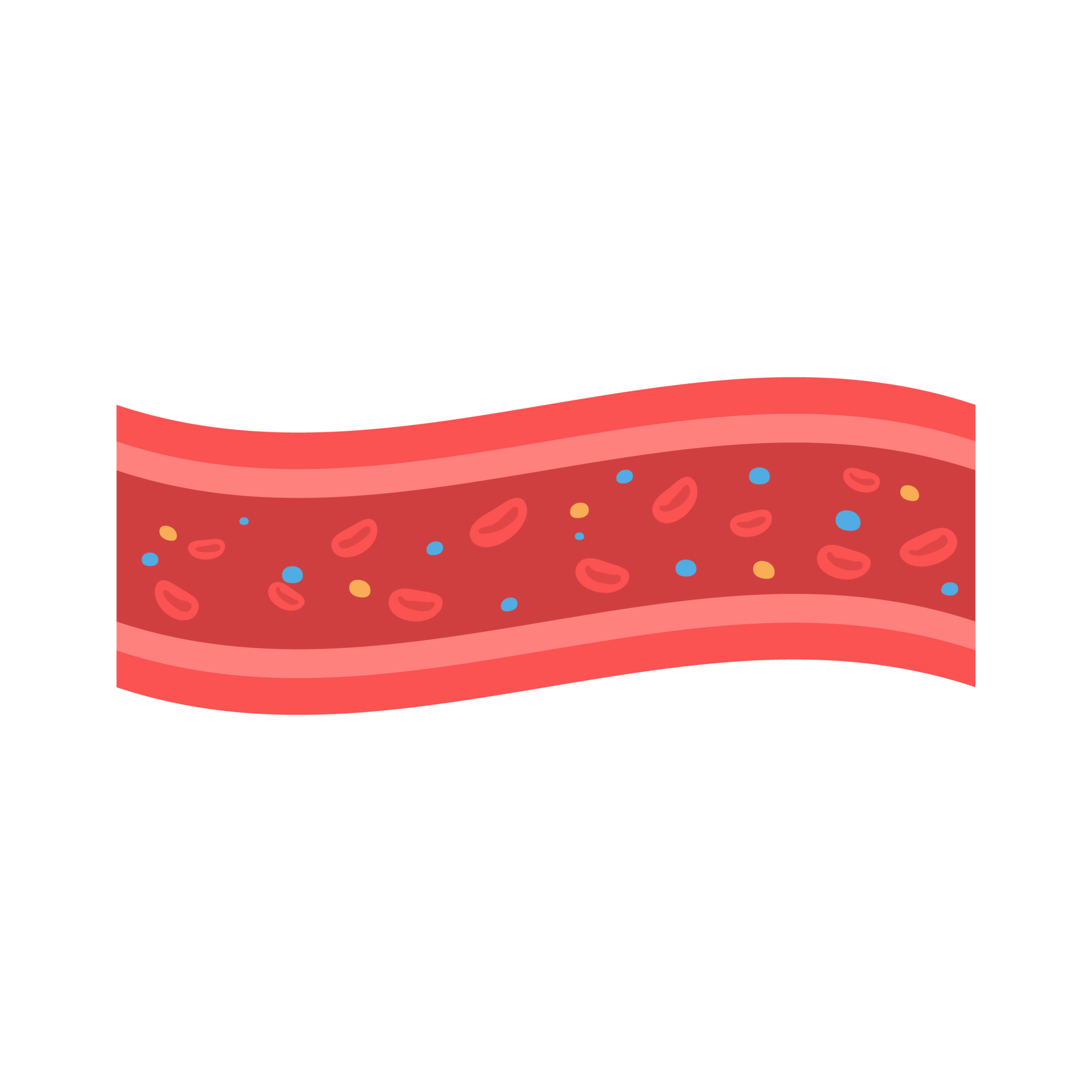 coronary arteries with accumulated fat in the body 15116210 PNG