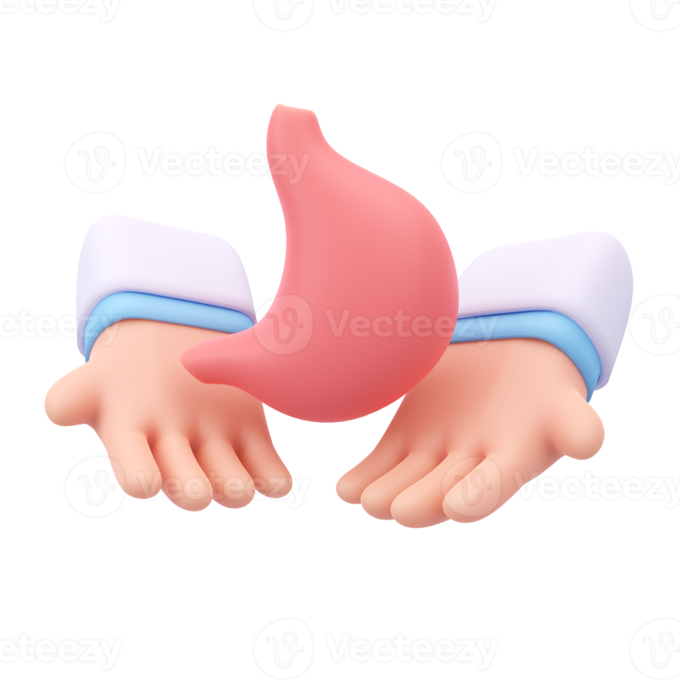 specialist doctor Take care of the organs in the body. 3D medical illustration. png