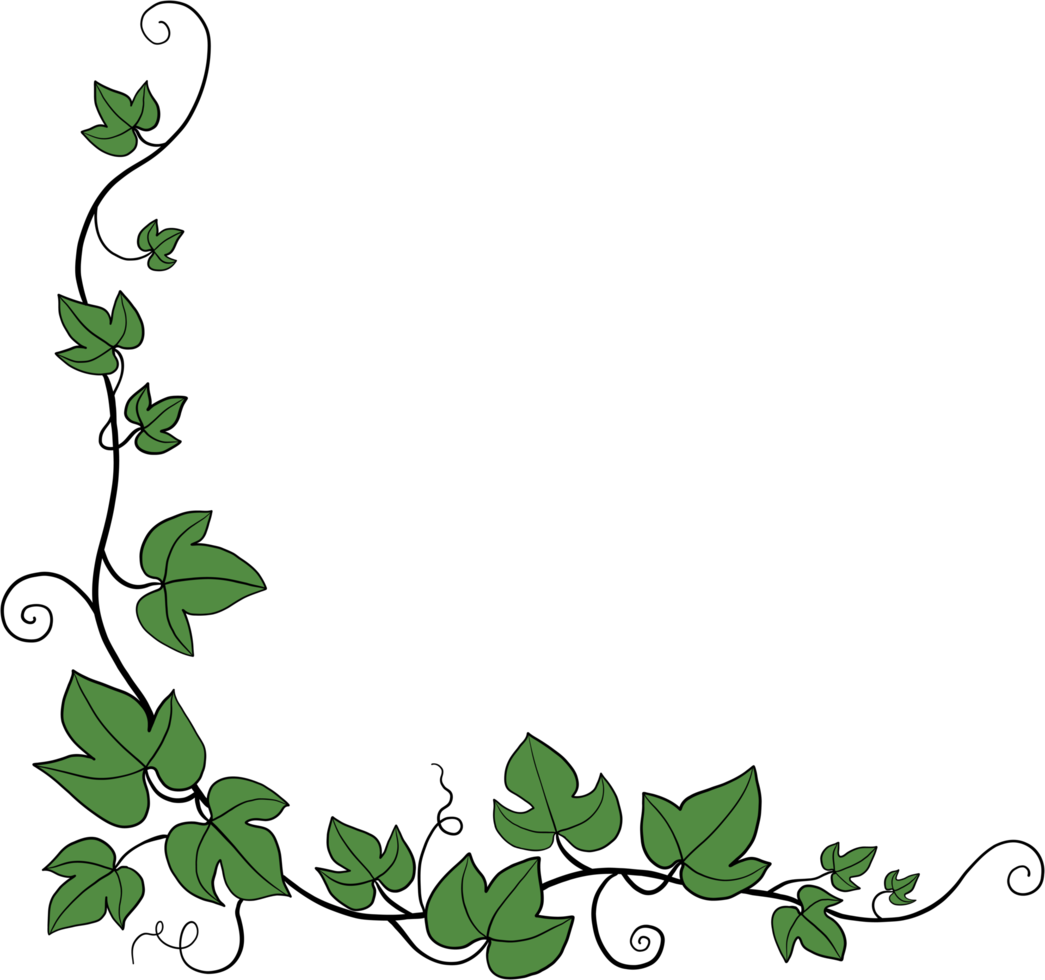 Simplicity ivy freehand drawing png