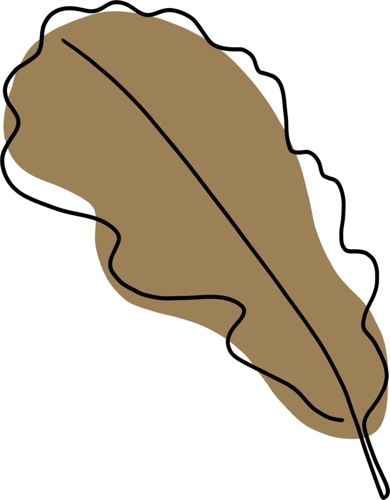 simplicity maple freehand drawing flat design. png