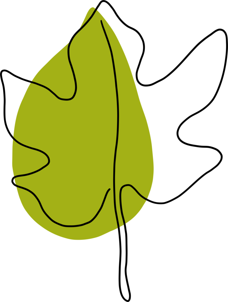 simplicity maple freehand drawing flat design. png
