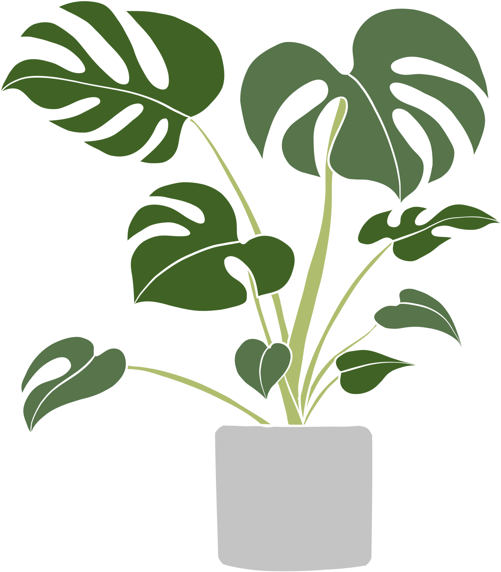 conception plate de dessin à main levée de plante de monstera. 15116715 PNG