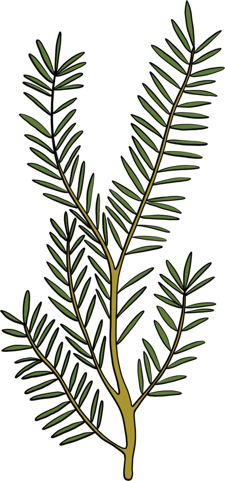 enkelhet blommig freehand teckning png