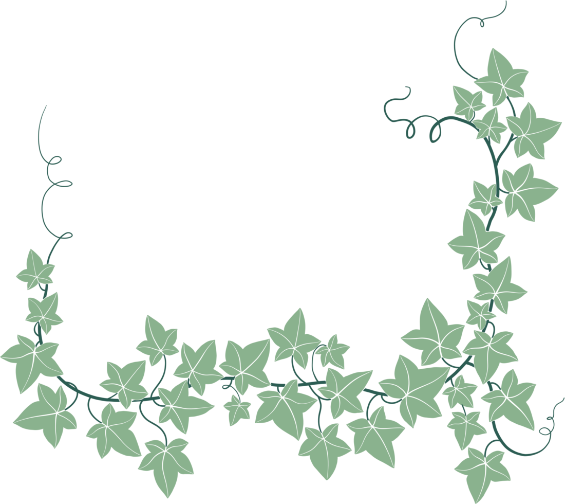 Simplicity ivy freehand drawing png