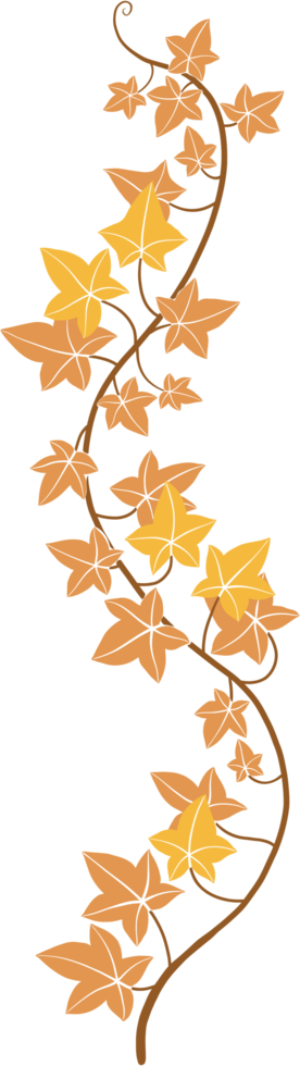 Simplicity ivy freehand drawing png