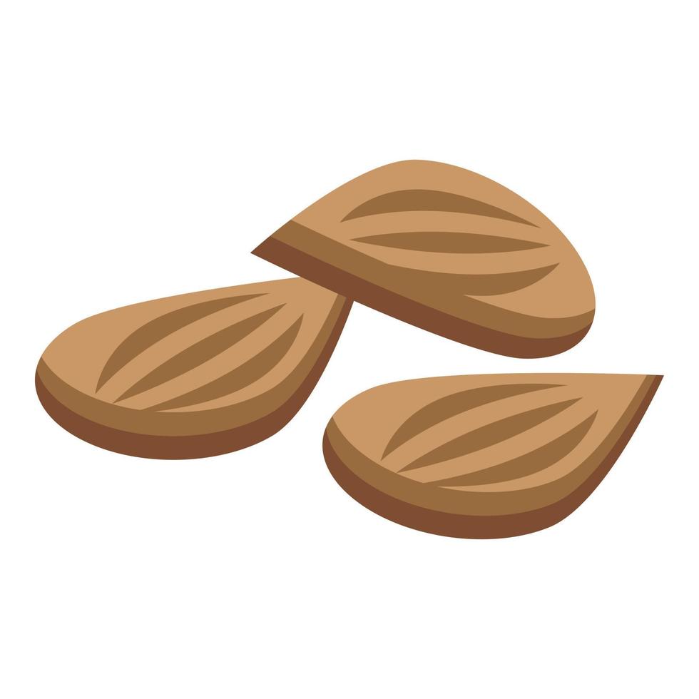 Snack nut icon isometric vector. Dry fruit vector