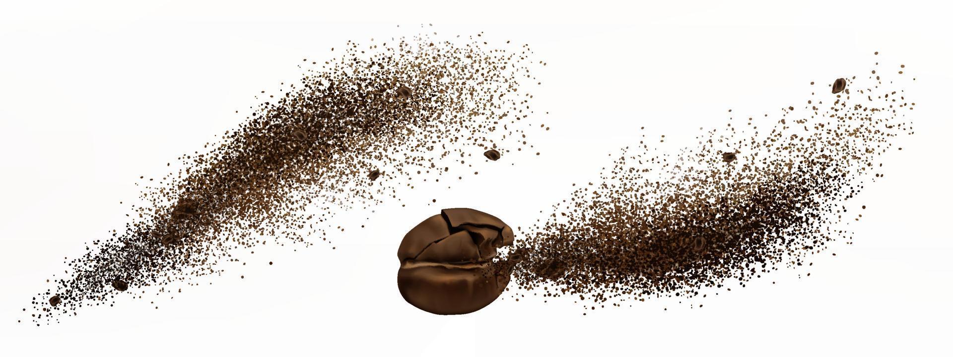 Coffee explosion, realistic cracked bean or powder vector