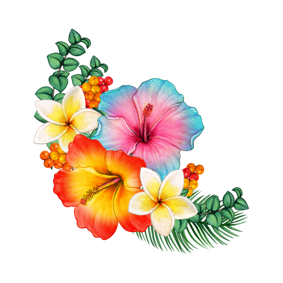 Free acuarela flores tropicales 15117913 PNG with Transparent Background