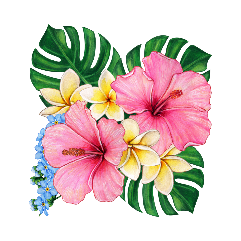 Free Watercolor Tropical Flowers 15117975 PNG with Transparent Background