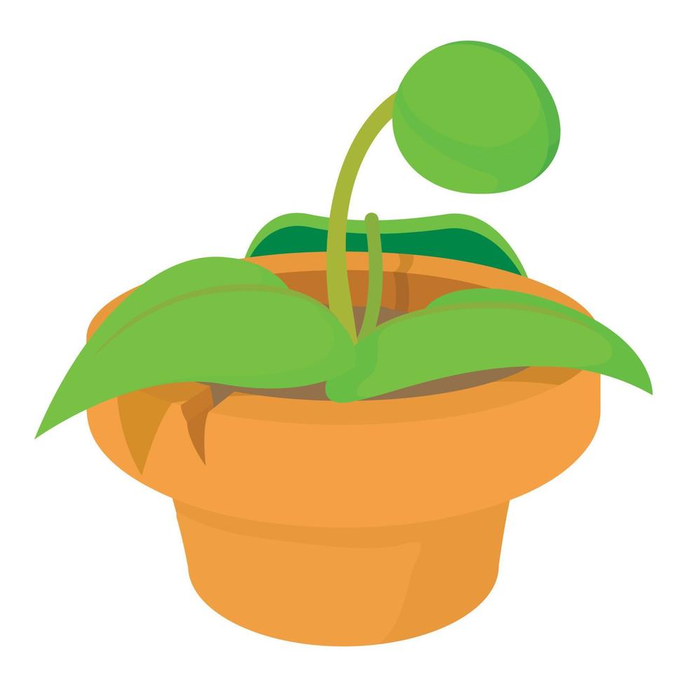 Plant in pot icon, cartoon style vector