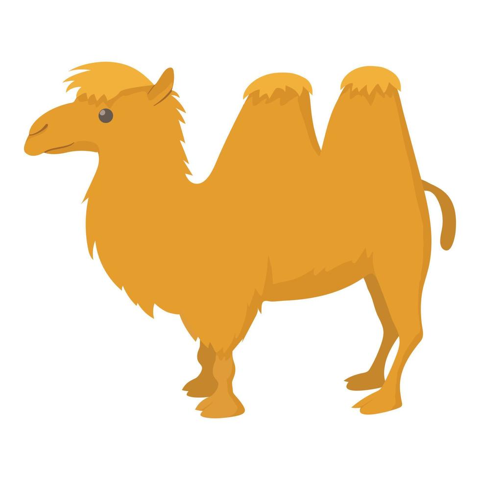 Camel icon, cartoon style vector