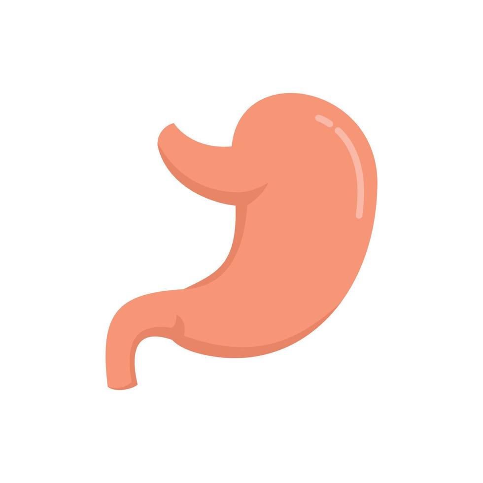 Healthy stomach icon flat isolated vector