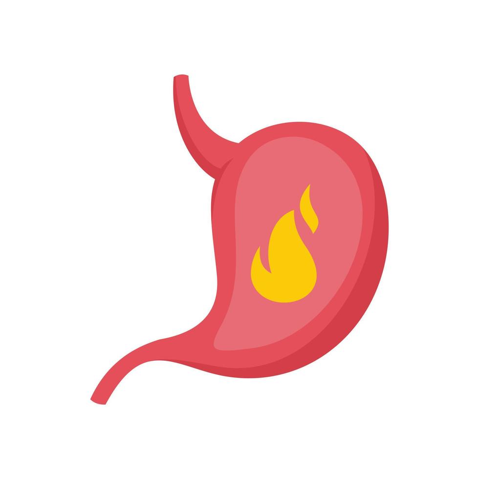 fuego estómago icono plano aislado vector