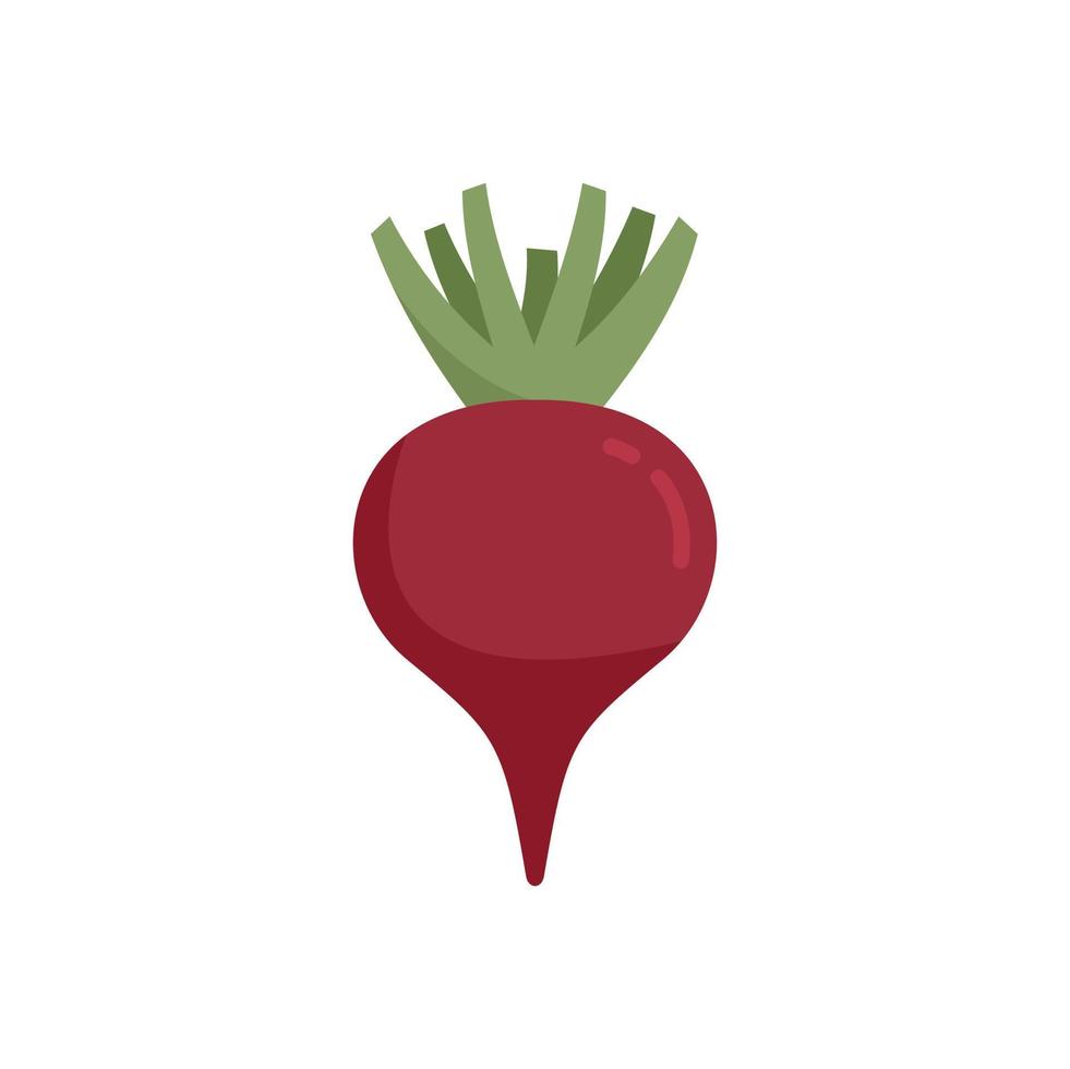 Farm beet icon flat isolated vector