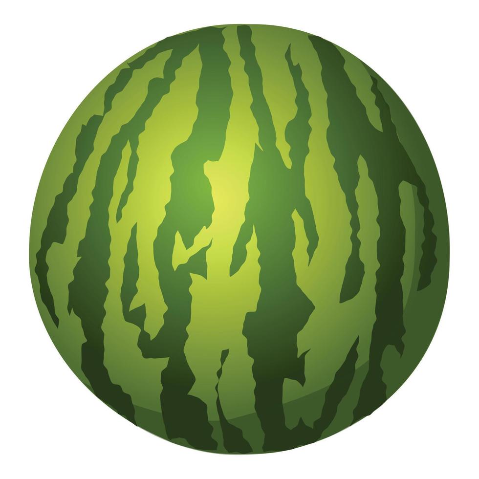 Watermelon icon cartoon vector. Melon slice vector