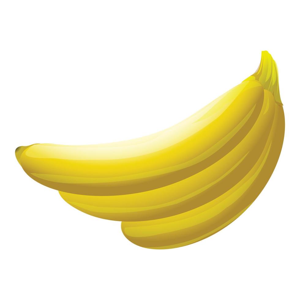 Unripe banana icon cartoon vector. Tropical plant vector