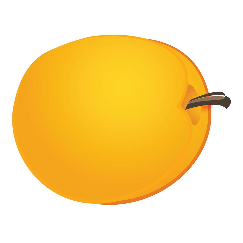 Taste apricot icon cartoon vector. Peach fruit vector